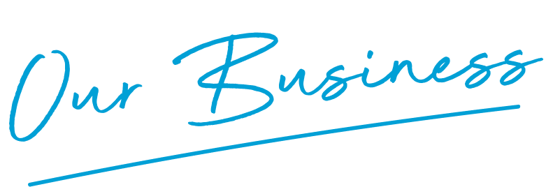 Our Business