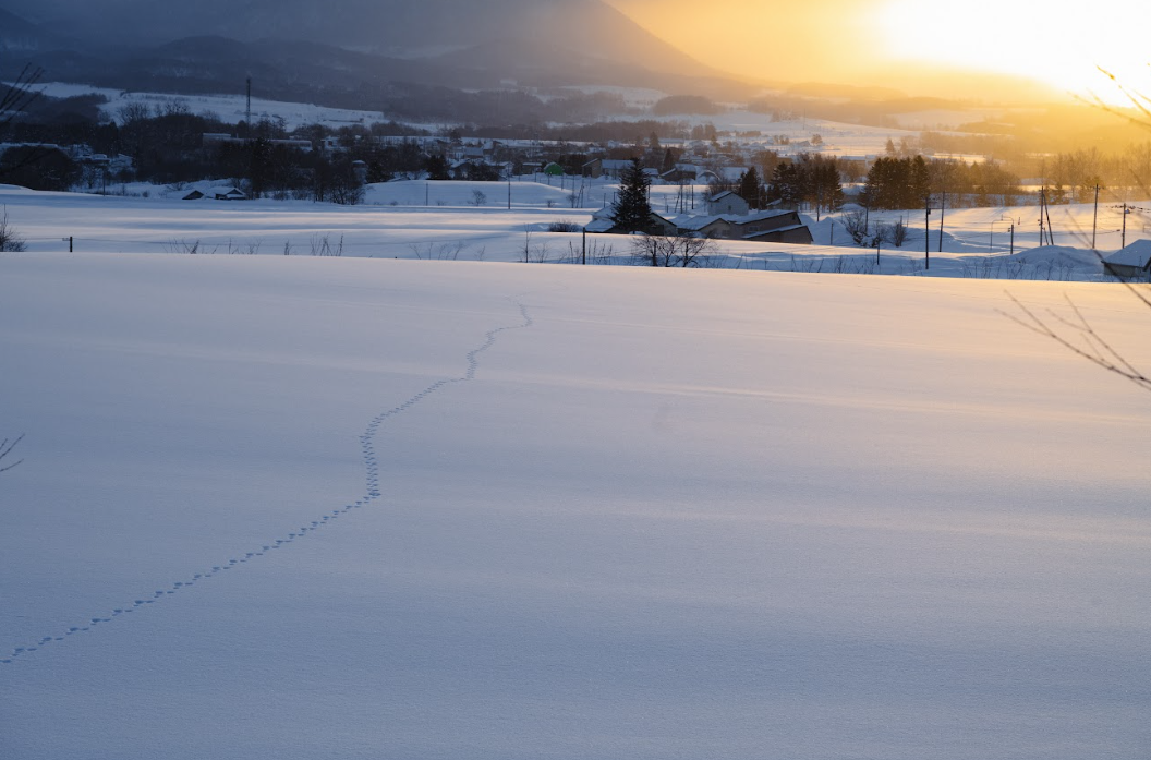 JALガクツナ×ミチシロカ in 更別村　学生の募集開始！